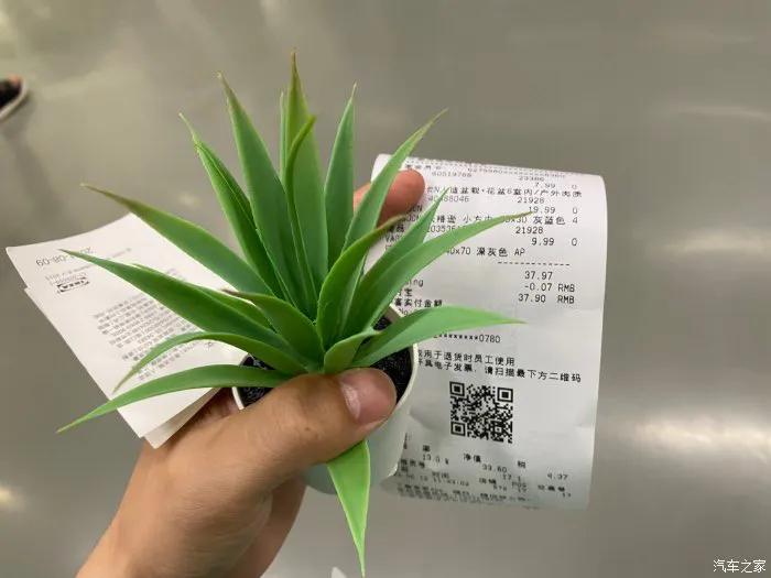 红唐日常暑期出行日记｜宜家一日游