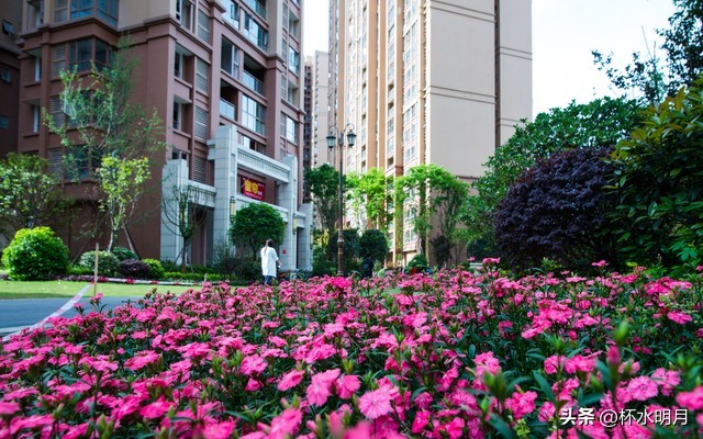 女雇主男保姆,女雇主请男保姆合法吗知乎