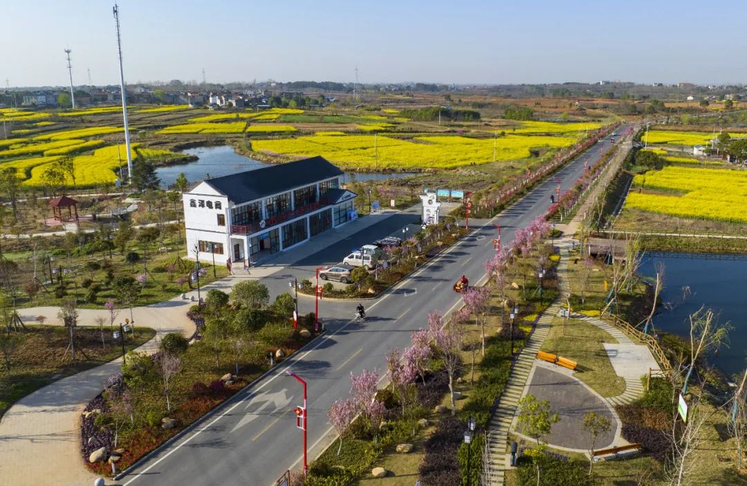 孝昌最新招商项目,2022年孝昌招商引资集中项目开工