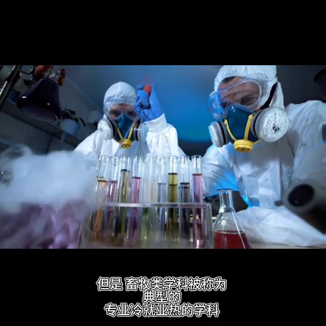 文科捡漏专业,高考一对一填报志愿专业分析