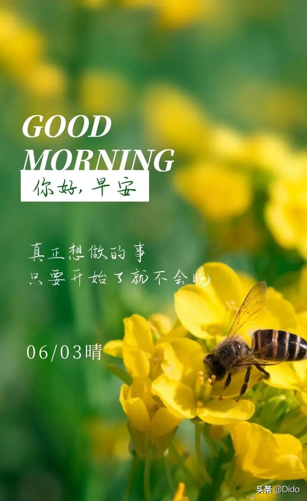 端午节安康早安问候语图片,2020年端午节早安祝福语图片