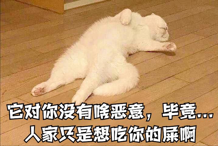 春天了家里好多虫子怎么办,春天来了家里有很多小虫怎么办