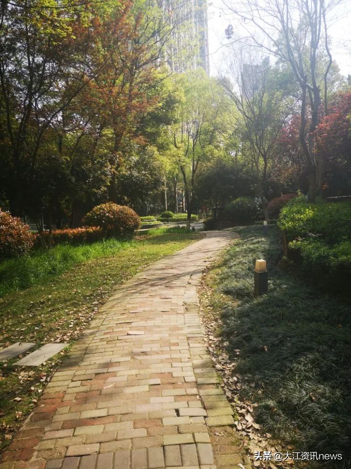 业委会换物业的猫腻,换物业通过业主委员会就行吗