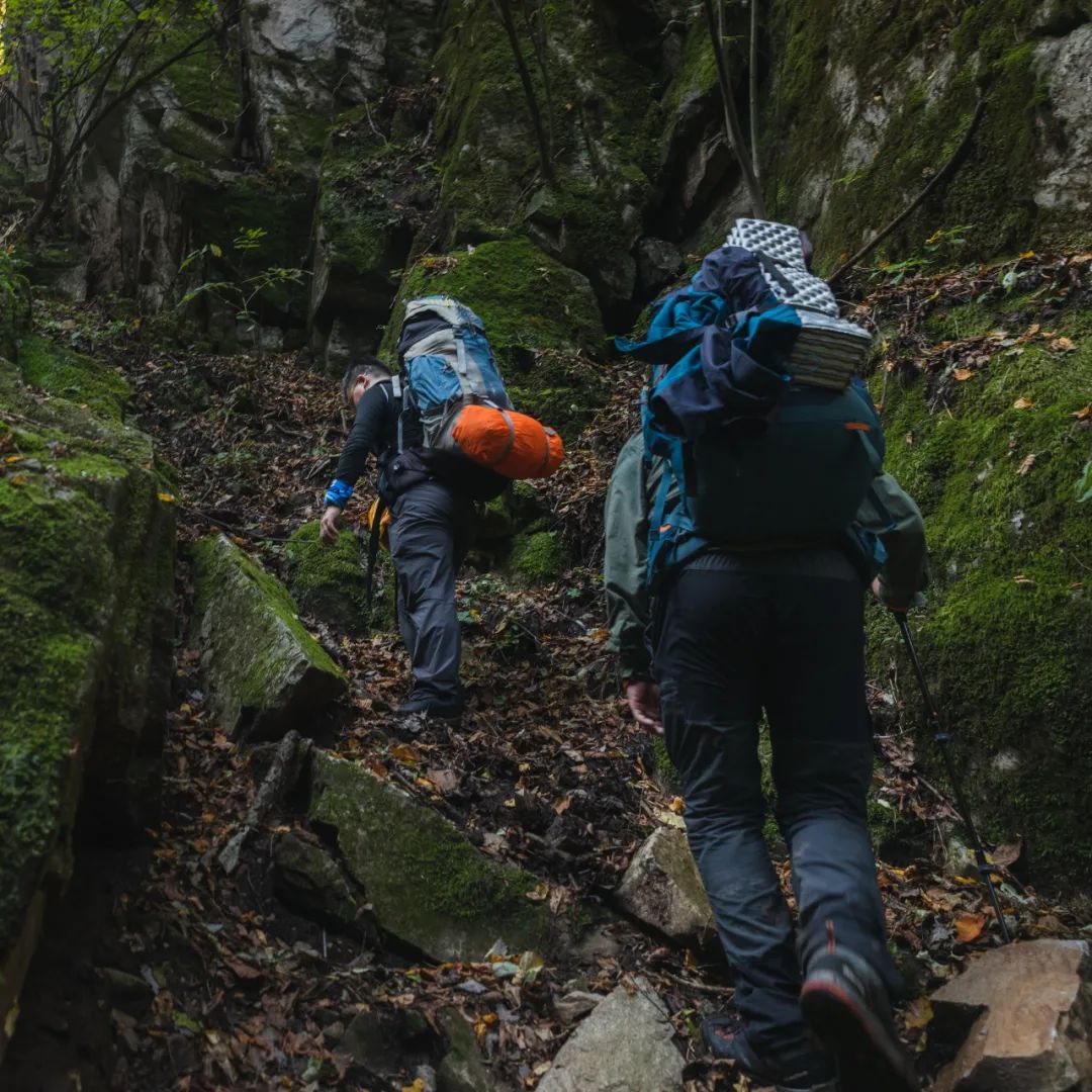 登太白山感受,太白山景区登顶拔仙台