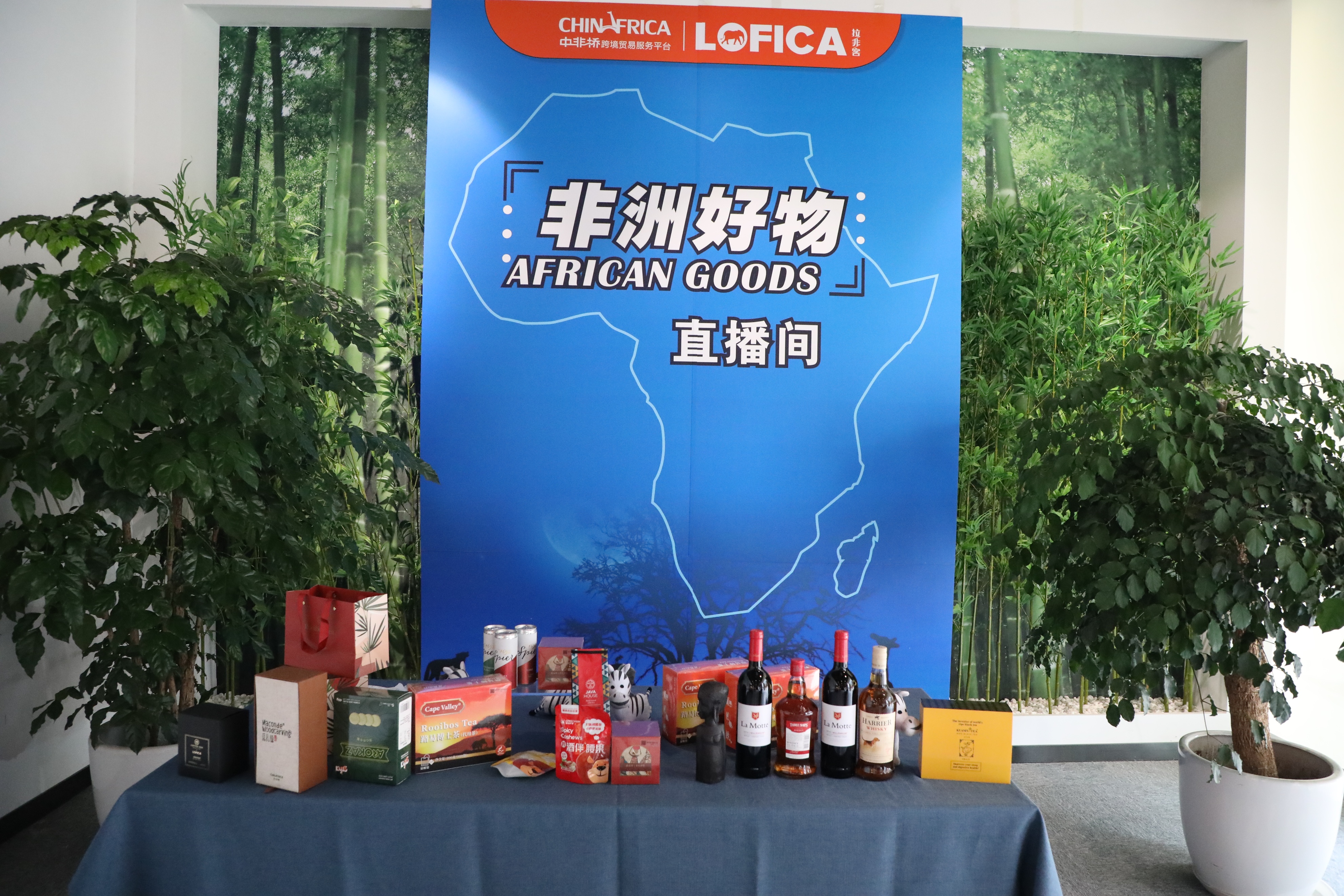 地道非洲特产哪里买？“非洲好物网购节”浙江专场启动