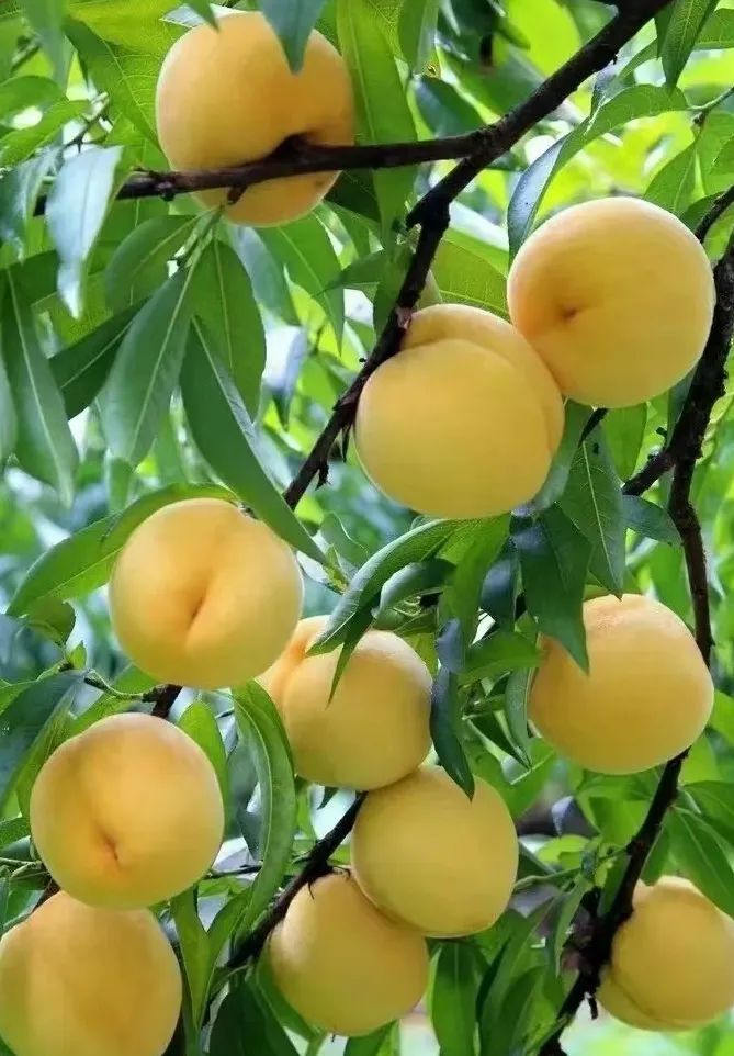 天津春天亲子徒步旅游路线推荐,天津户外徒步一日游推荐