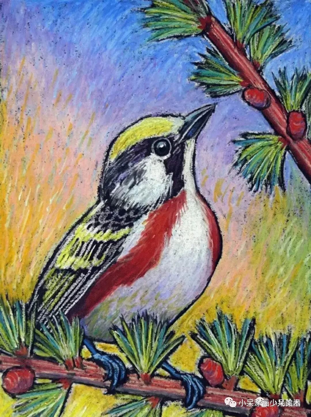 翠鸟生活环境,翠鸟育雏全集完整版