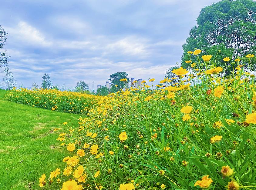 宜昌市区打卡网红景点,宜昌cbd拍照打卡地方