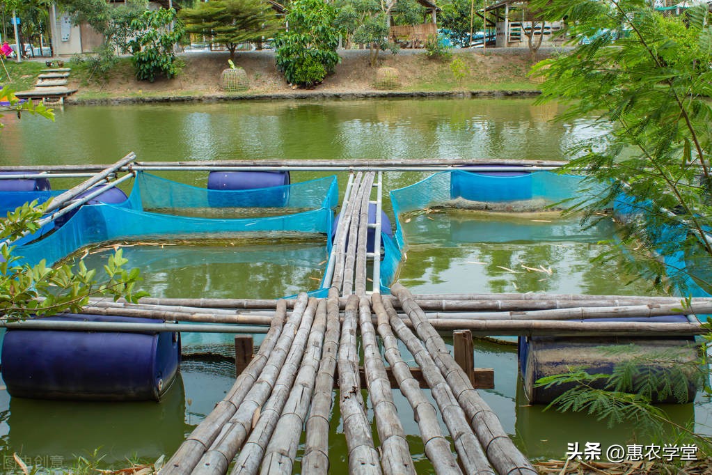 2022年水产养殖国家有多少补贴款,2019年水产养殖补贴多少钱一亩