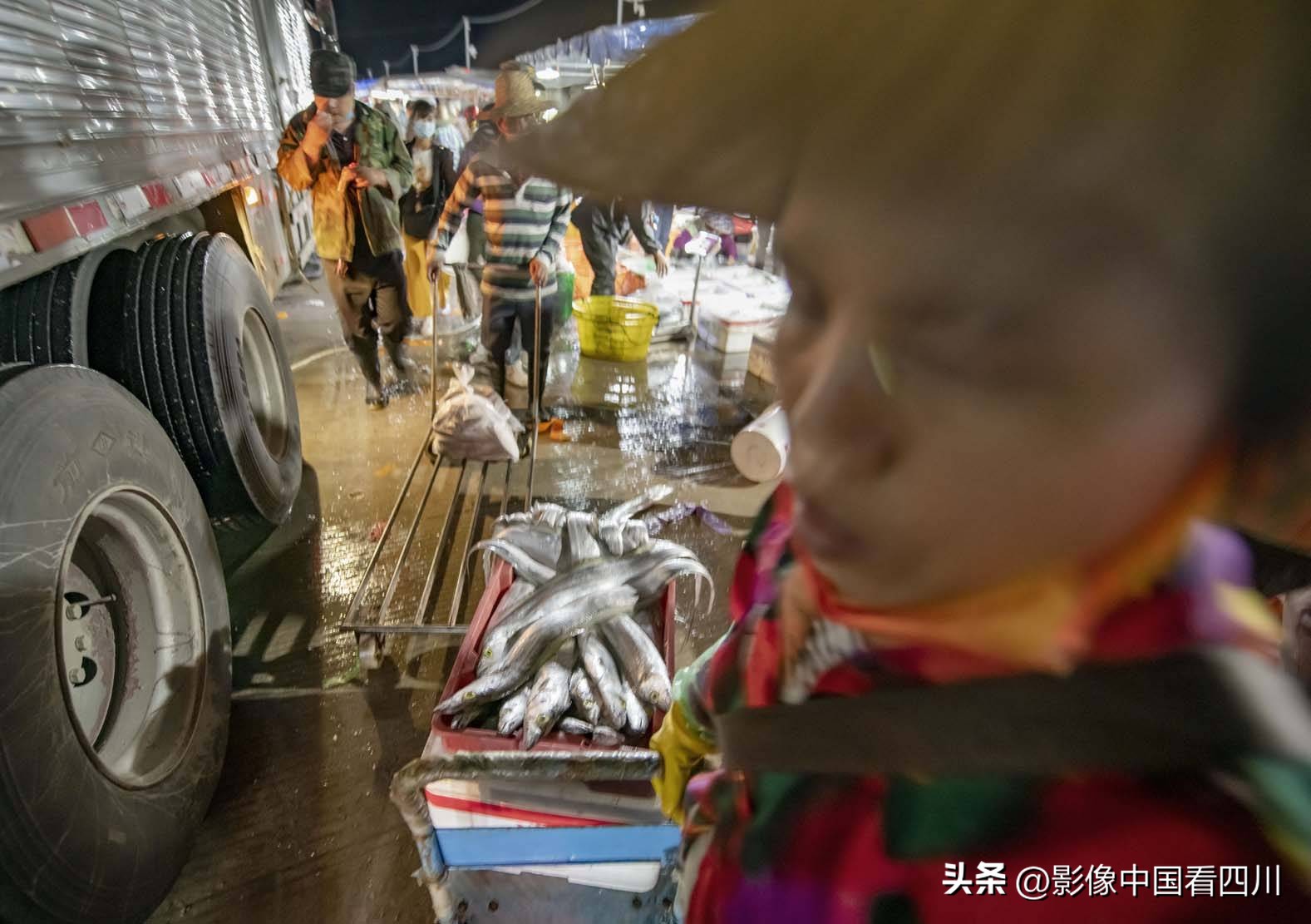海南陵水新村疍家渔港,海南陵水水产市场