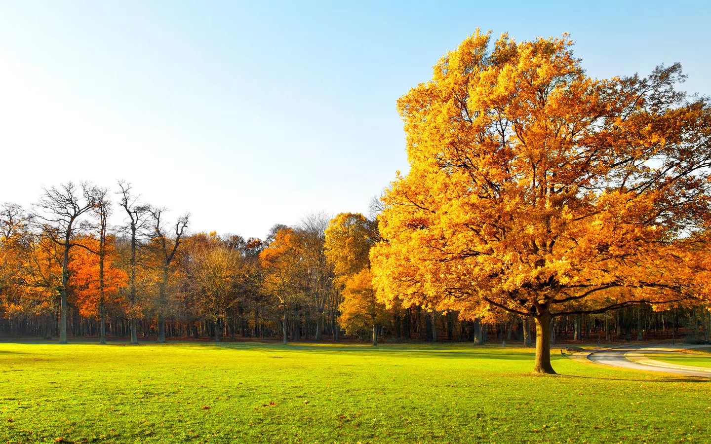 注册旅行社需要哪些条件,旅行社的注册需要满足什么条件