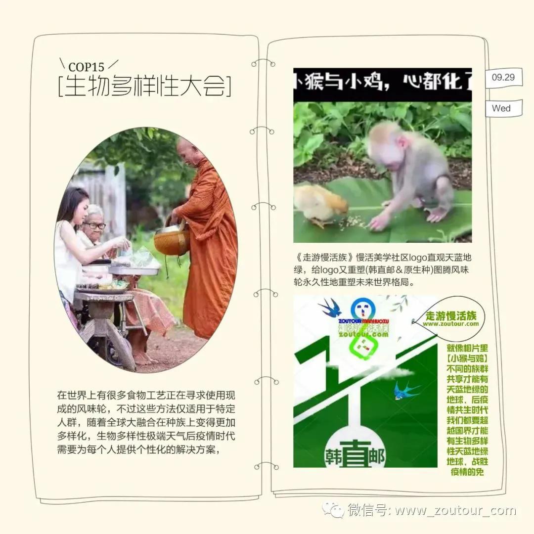 上海奥德赛计划到泰国越南奥德赛计划邻国圈子里的机会走游慢活族