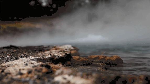 冬天一碗汤暖心又暖胃,初冬的幸福感