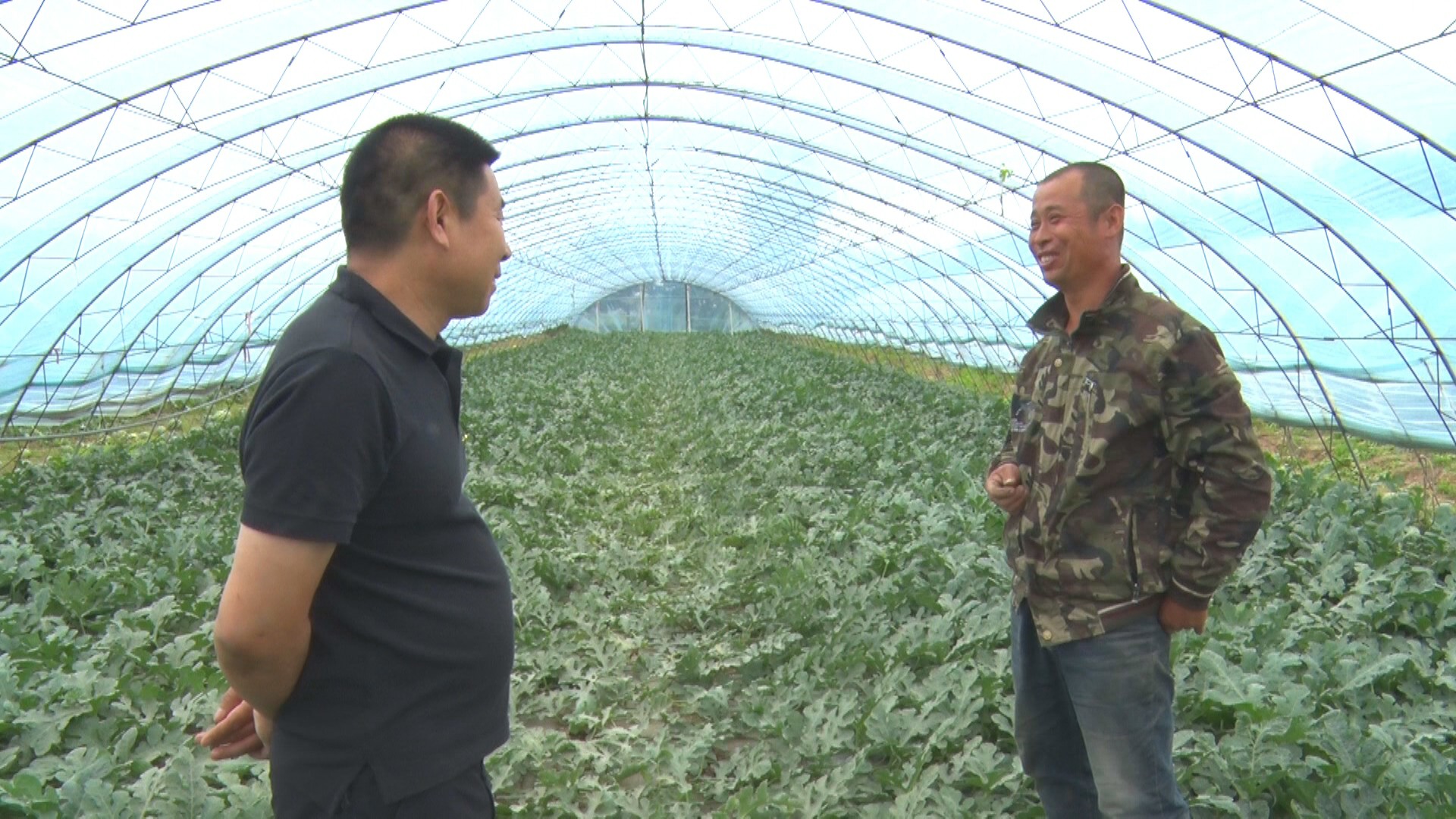 辽宁新民市姚堡乡,新民市姚堡乡