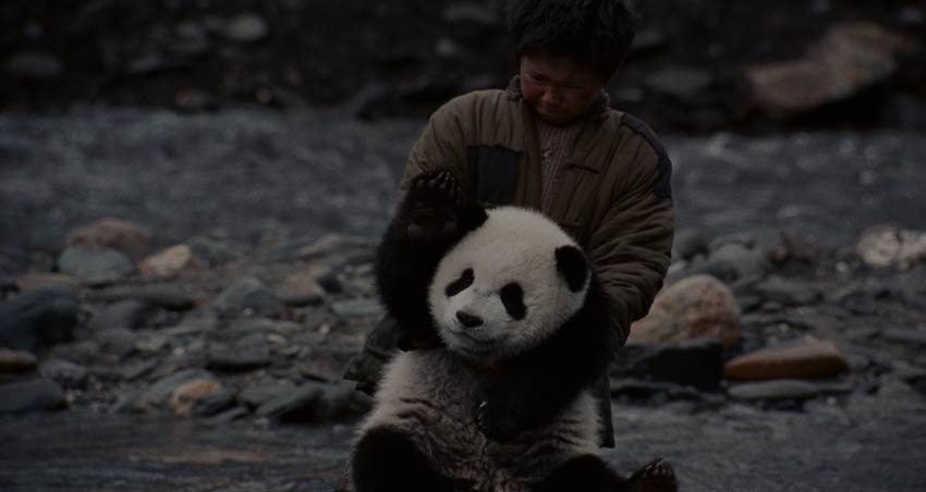 适合儿童假期观看的电影,儿童节就看这十部最好玩的电影