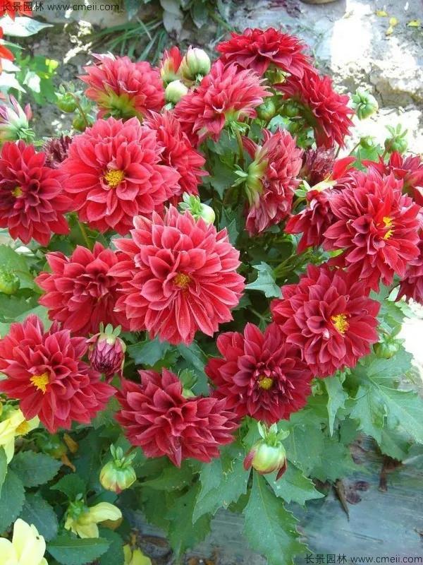 如何让自己更健康,如何通过心理暗示让自己更健康