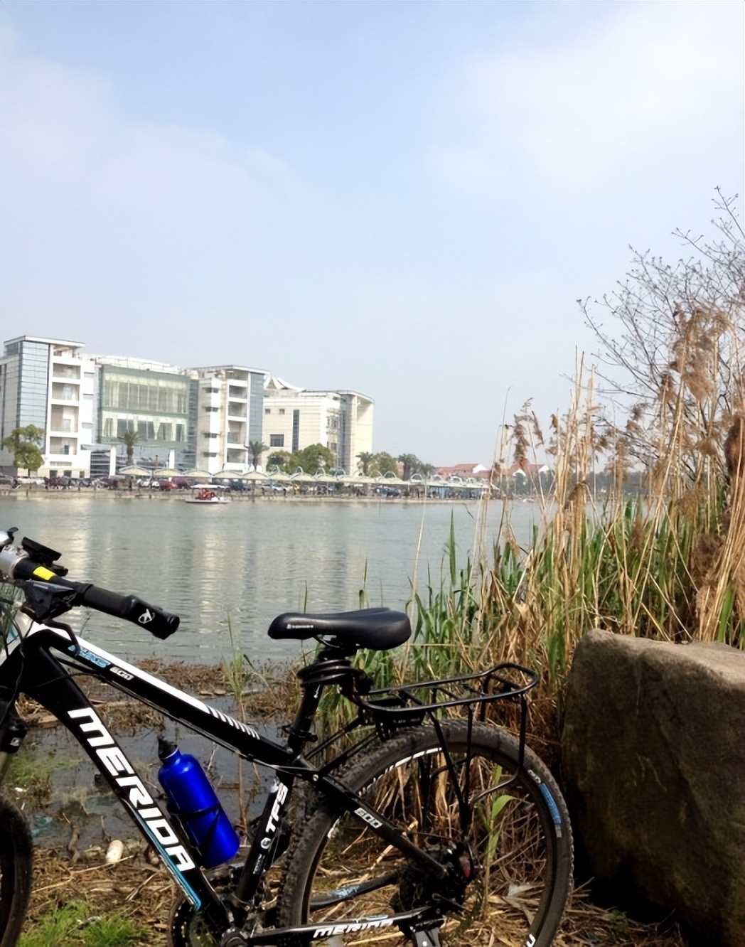 上海第一大人工湖在哪里,上海最值得打卡的公园