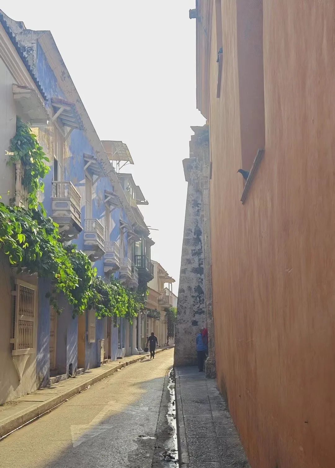 发现不一样的大自然读后感,发现不一样的精彩世界