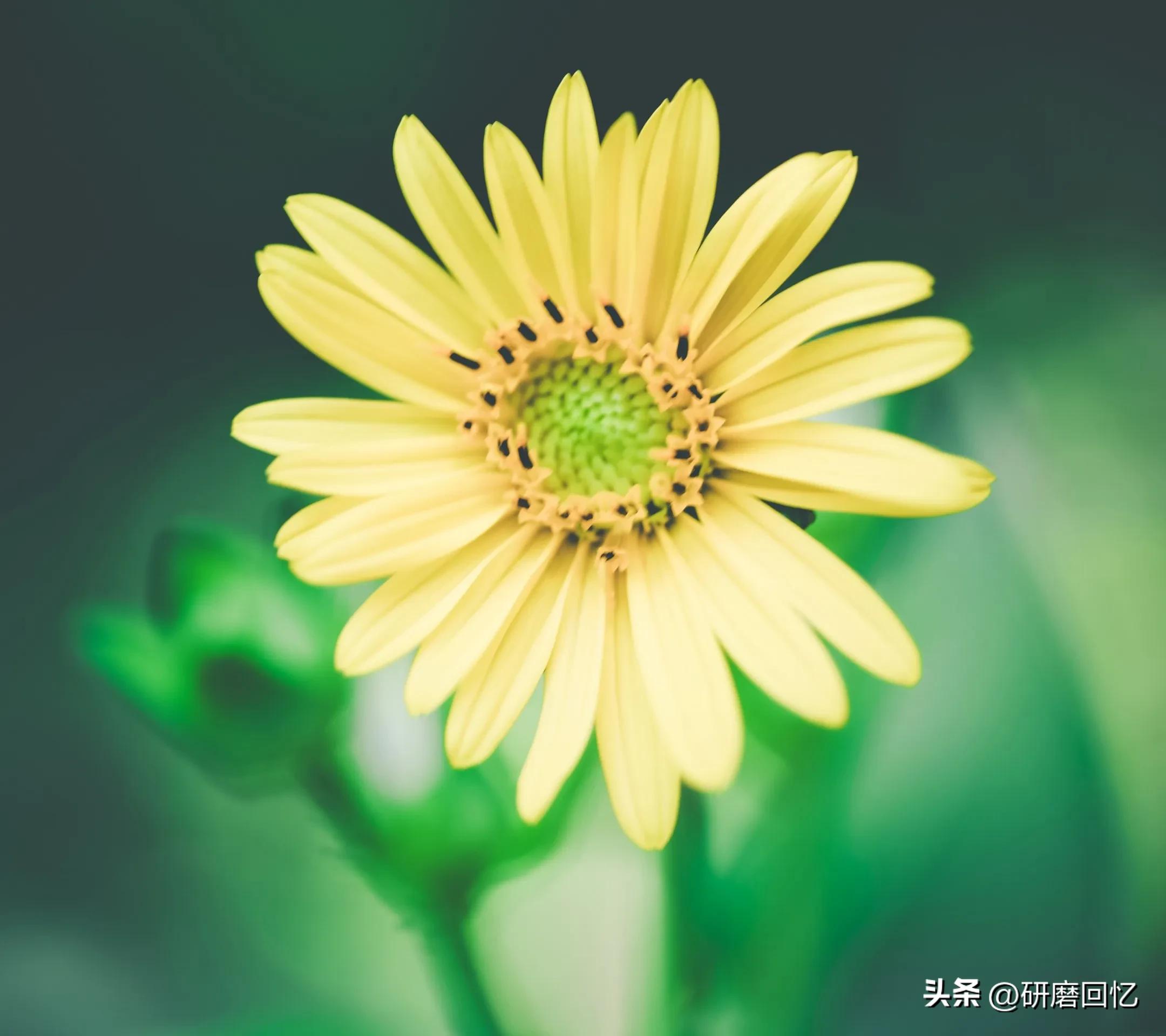 生命只有一次别活得太累,生命只有一次别让自己活得太累了