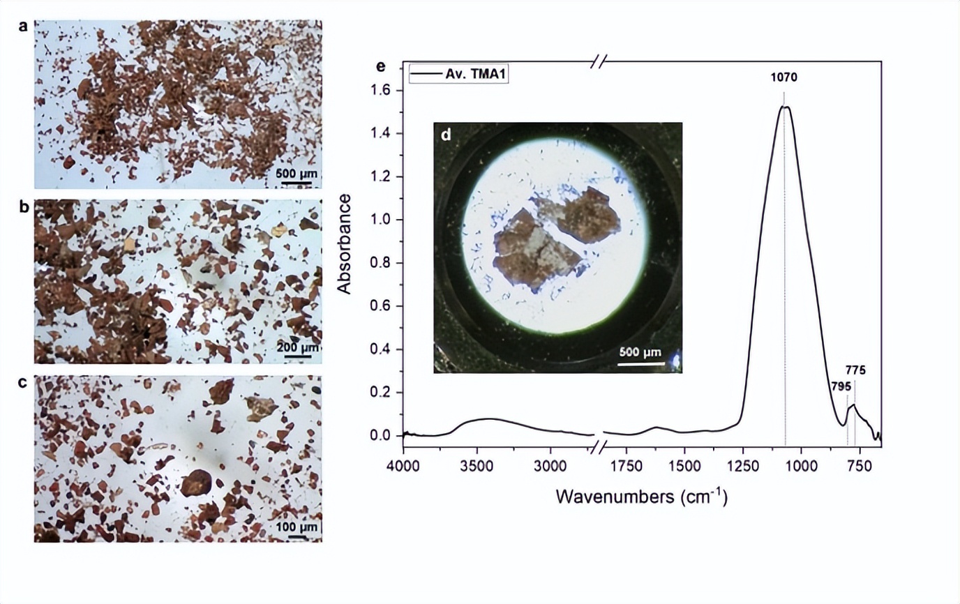 埃及人将血液、母乳和致幻剂混合在一起