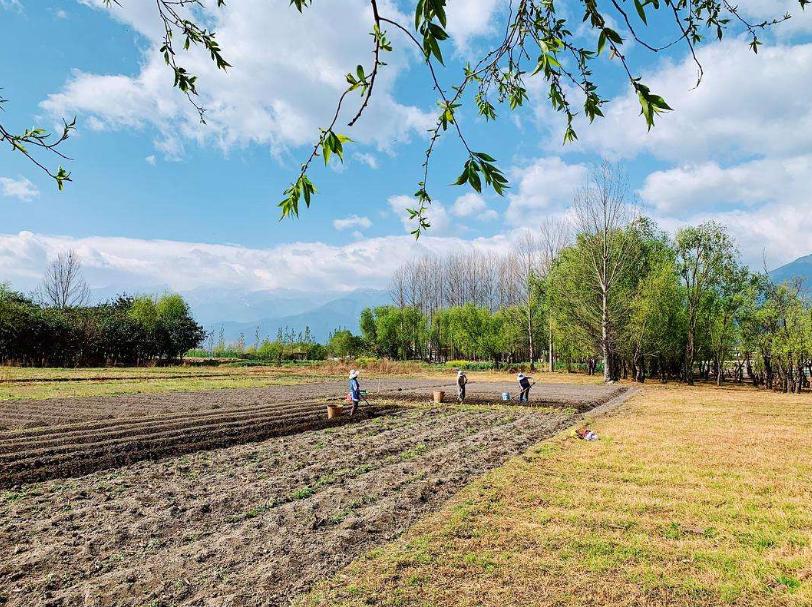 春耕备耕正当时七绝诗歌,春耕时节诗词鉴赏