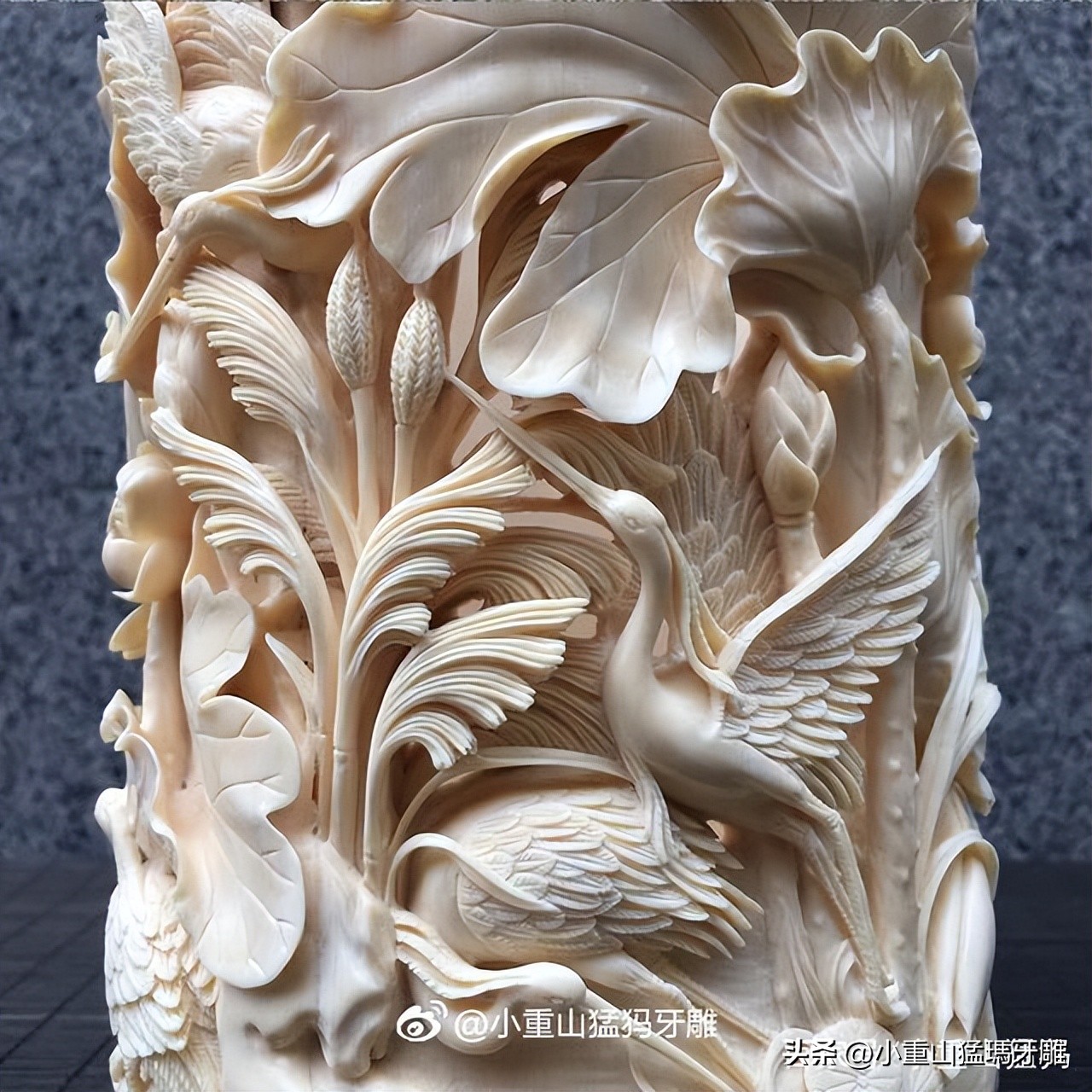 良心商家的大实话,良心卖家讲实话