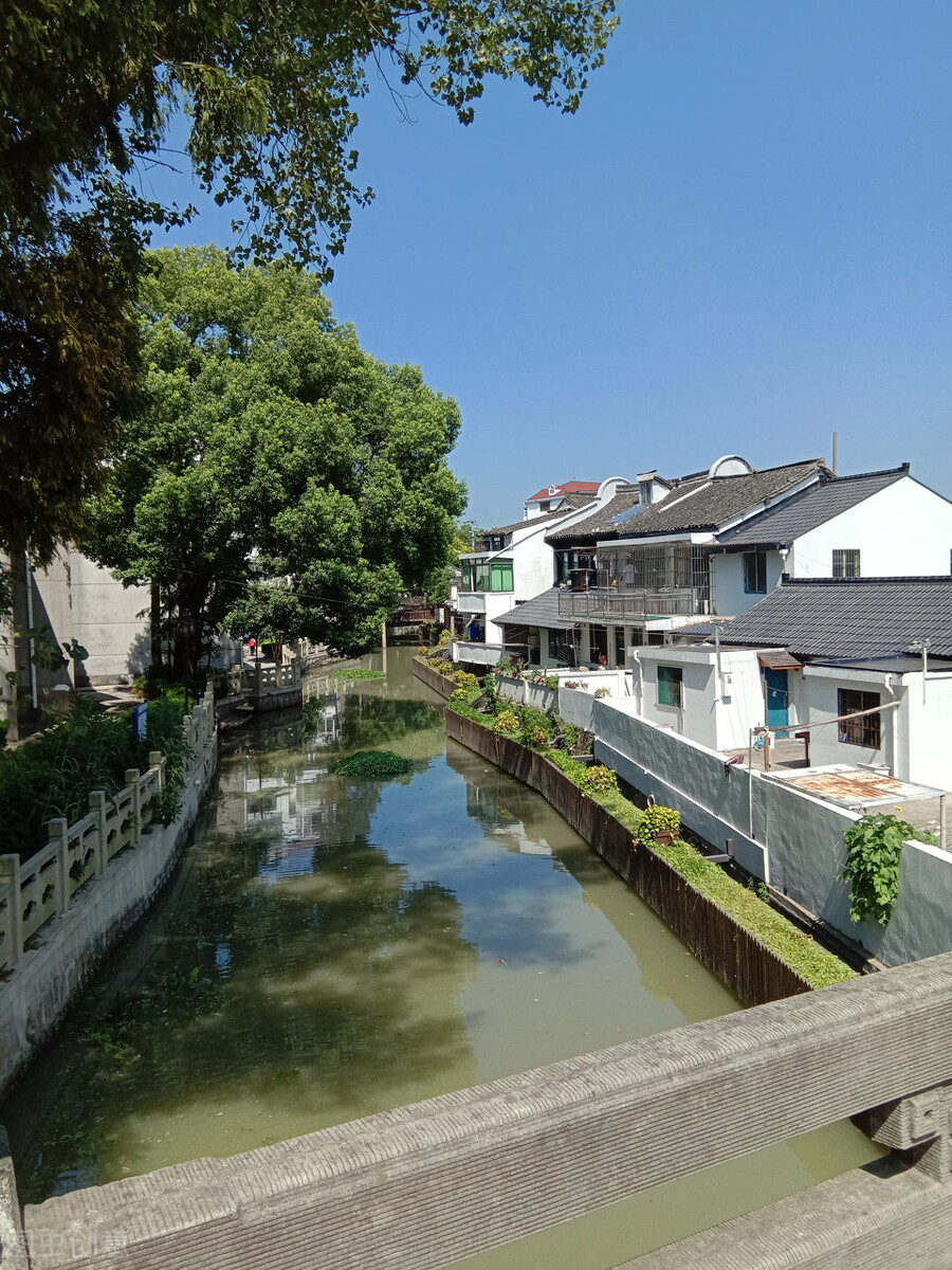 上海坐地铁就能到的11个绝美古镇,上海青浦区什么古镇是江南水乡