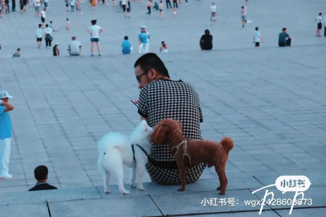 50块钱逛遍大连,50块钱逛沈阳