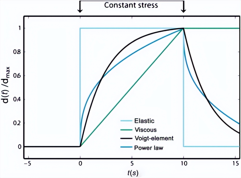 从单纤维到组织，细胞骨架的涌现出怎样的复杂性？