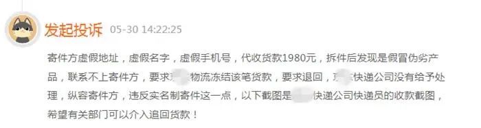 冬青树苗购买,购买红果冬青树苗