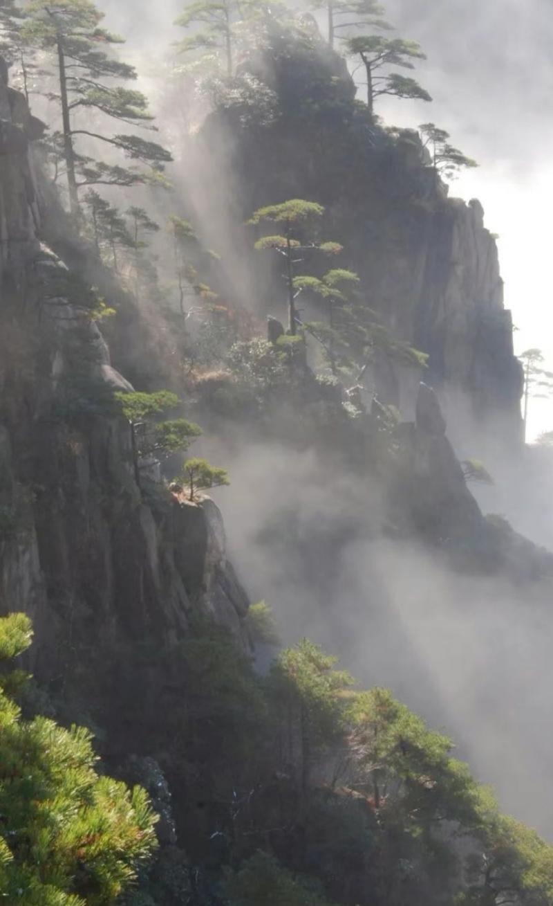 【名篇•文学艺术网】卢子英佳作《春游黄山》