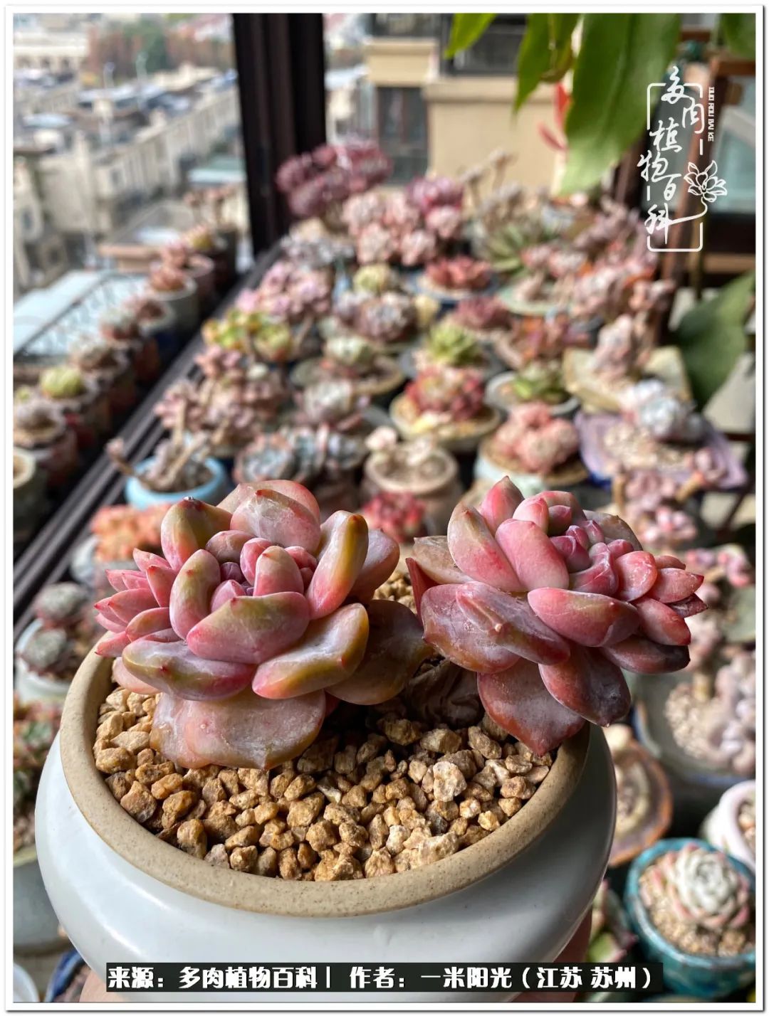 幸福就是珍惜当下所拥有的,珍惜当下所拥有的才是幸福的