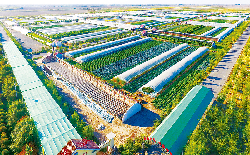 寤哄姛鏂版椂浠ｅ杩涙柊寰佺▼鐩存挱,寤哄姛鏂版椂浠ｅ杩涙柊寰佺▼鍐呭