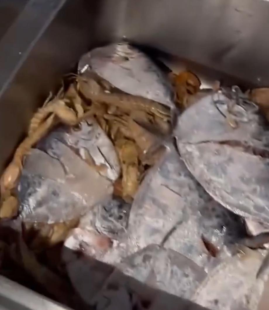 姊瓙锜硅瘓楠楁,楠楀瓙鍗栨瀛愯煿濂楄矾鎶ヨ