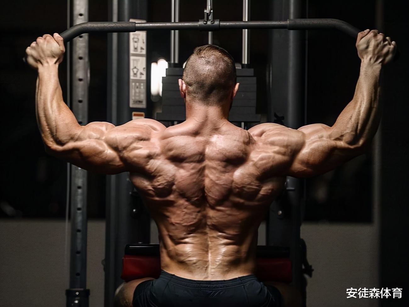 重量训练要能增肌的两个关键点有意义的负重结合高强度的出力