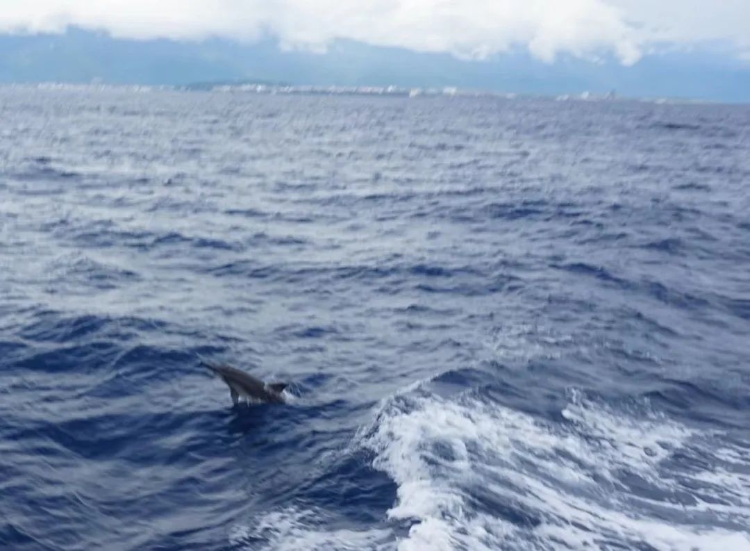 台湾地图为啥上热搜,台湾省地图热搜