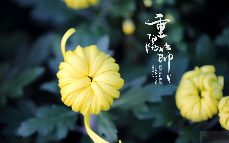 冯冶|过年还是家乡好,最美最真中国红(七律节日诗十二首)