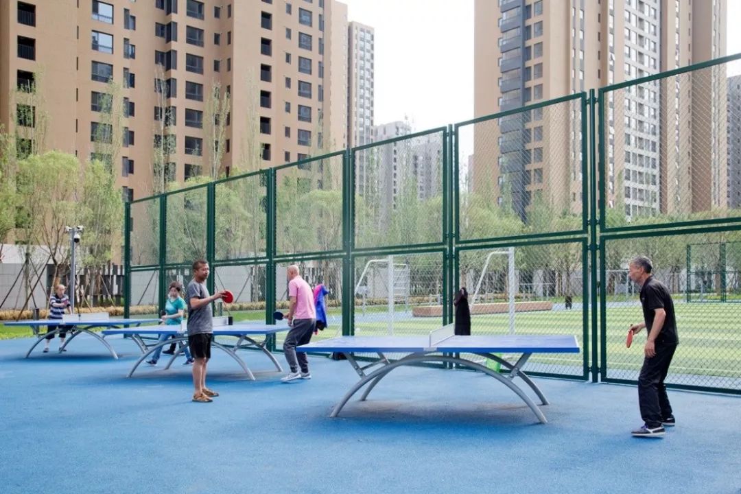 四川儿童公园无动力游乐设施设备,重庆儿童公园无动力游乐设施厂家