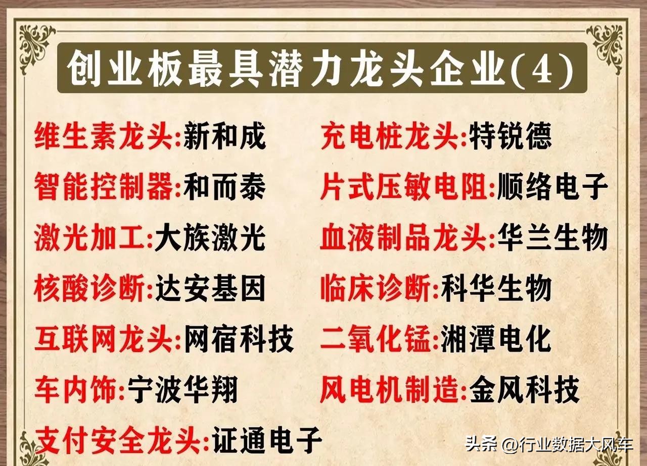 创业板龙头股票有哪些,今天创业板的十大龙头股