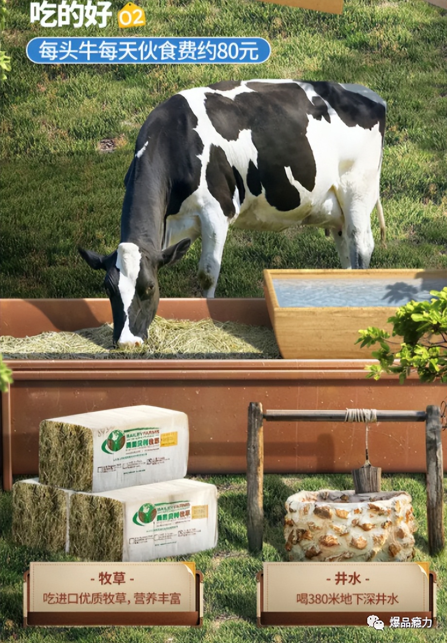 诞生7年，洗牌乳企行业估值超百亿！认养一头牛究竟还能火多久？