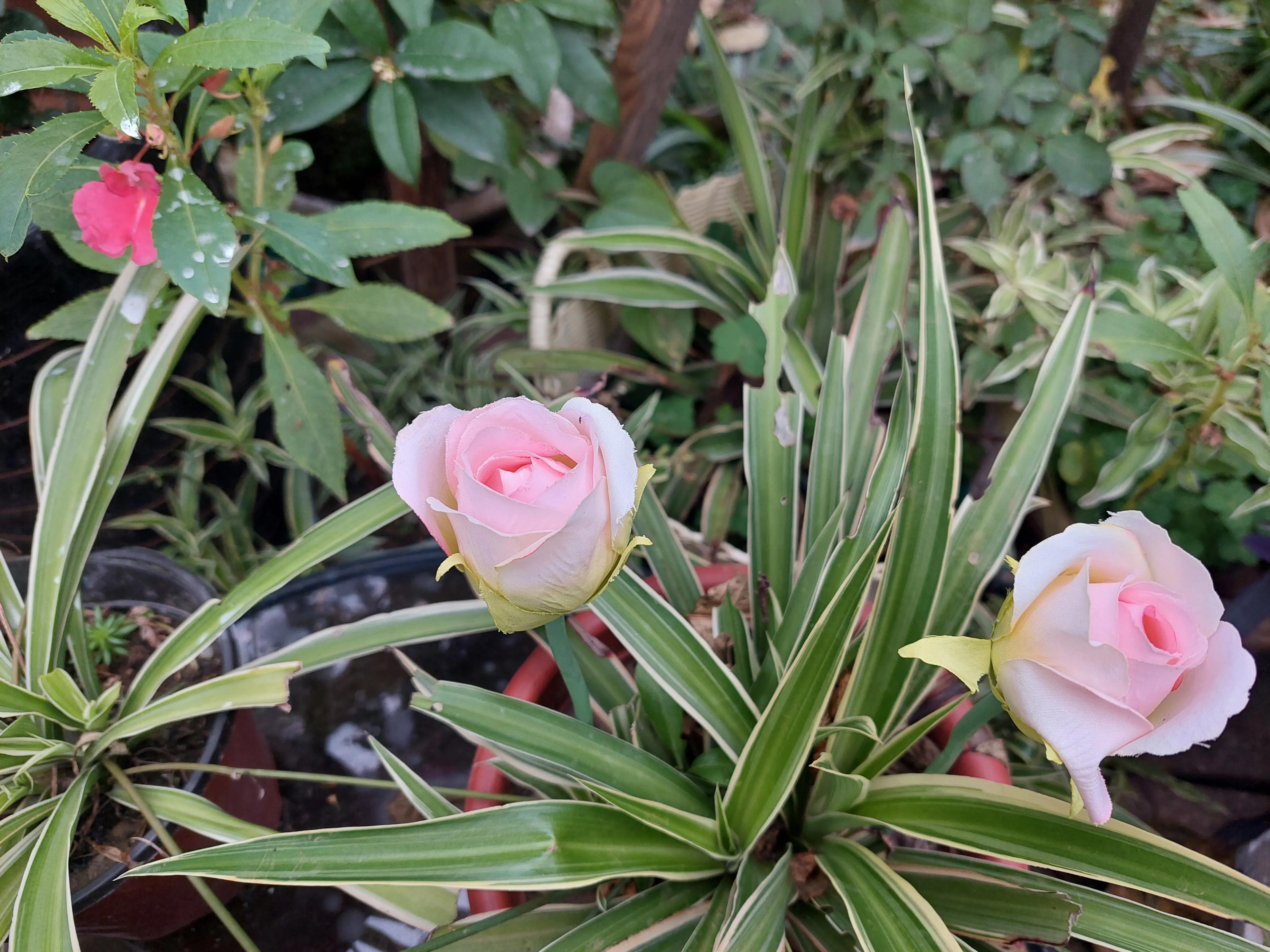 想要足球踢得好,想踢好足球要练什么