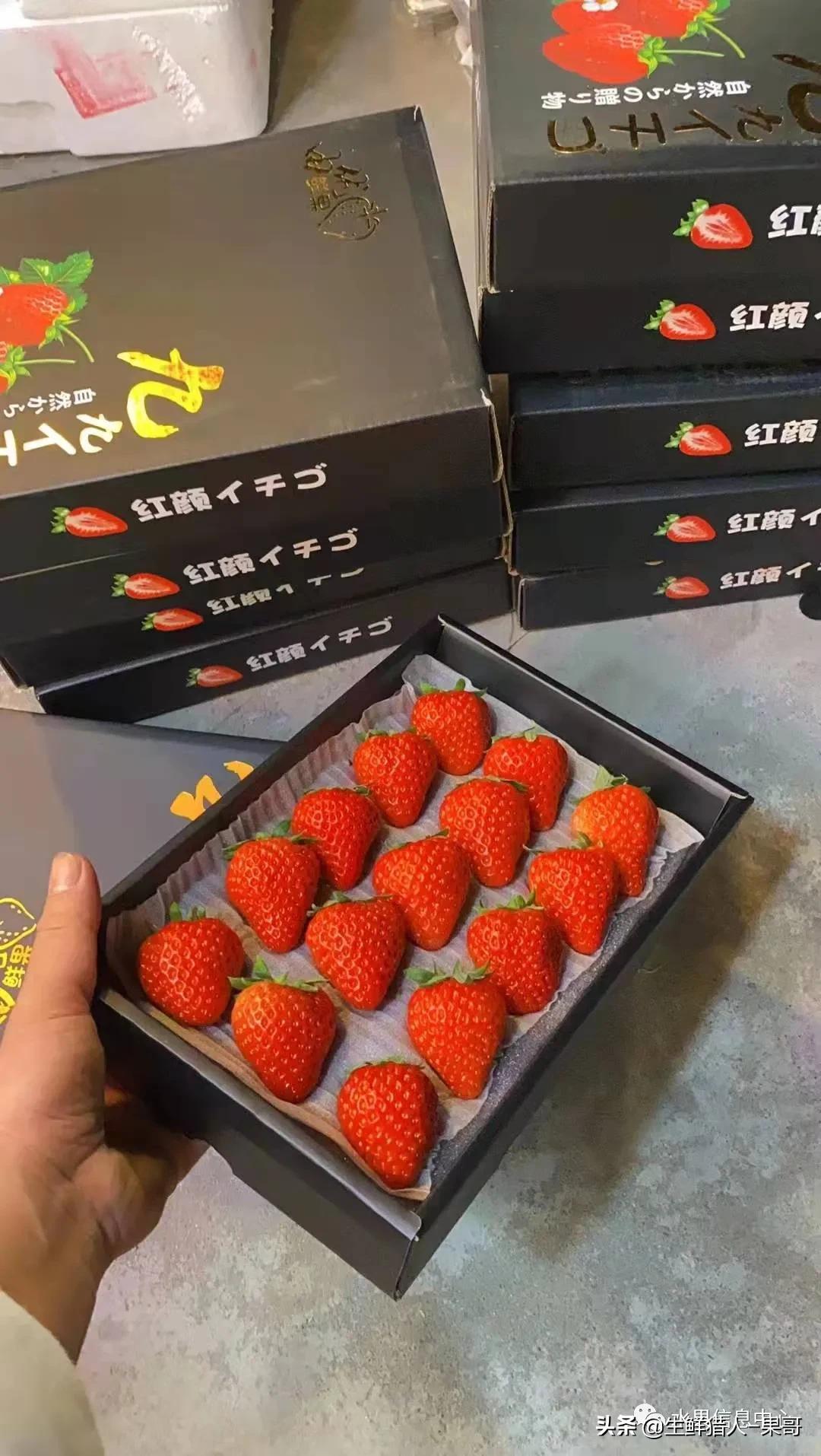 在水果中浆果是分哪几种,水果分类浆果