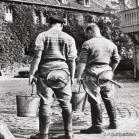 鏃ュ啗鍏借,鏃ユ湰渚靛崕鍏借鐓х墖