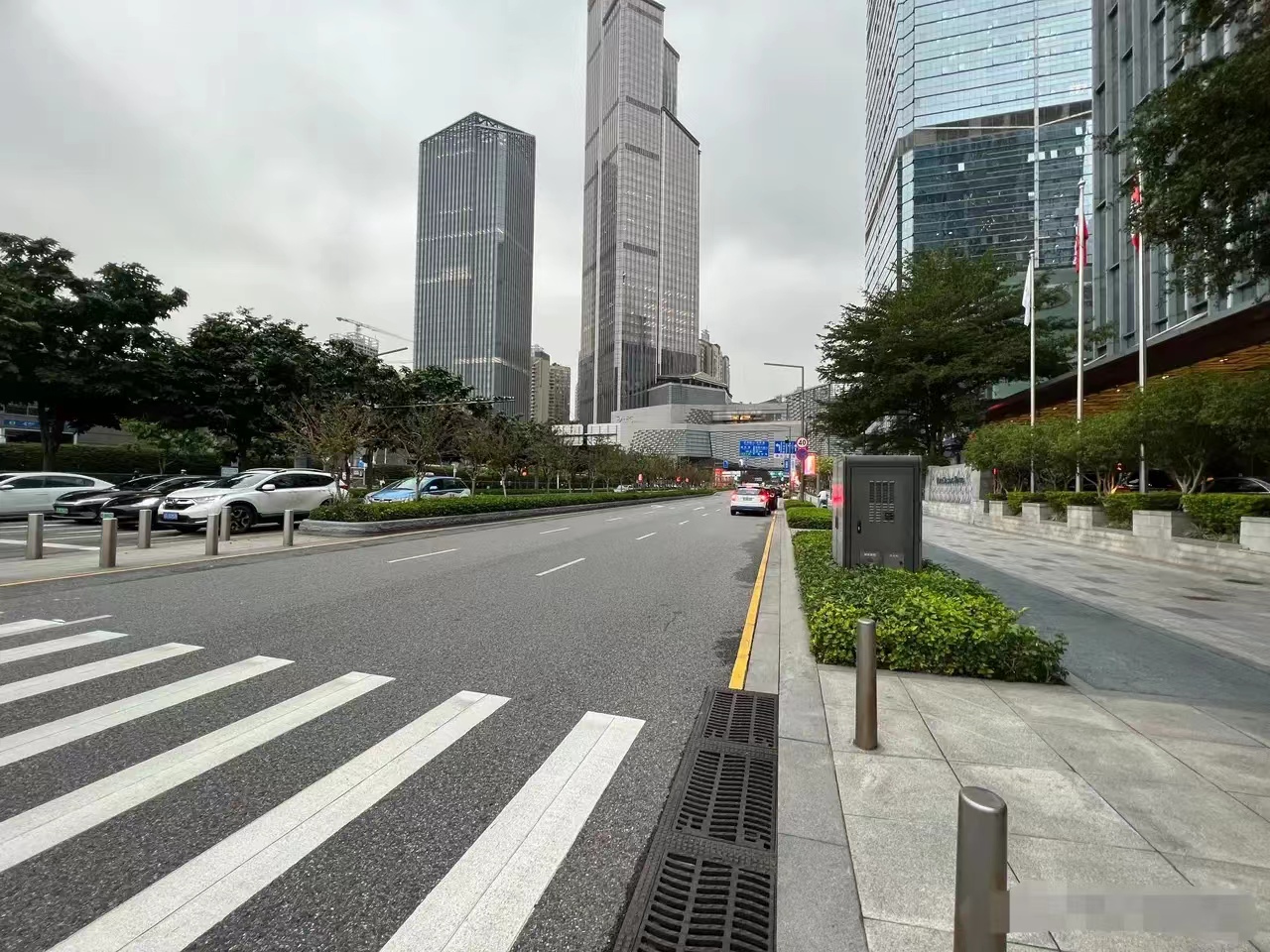 养殖1000条鳄鱼一年能赚多少钱,养殖五十条鳄鱼一年能有多少收入