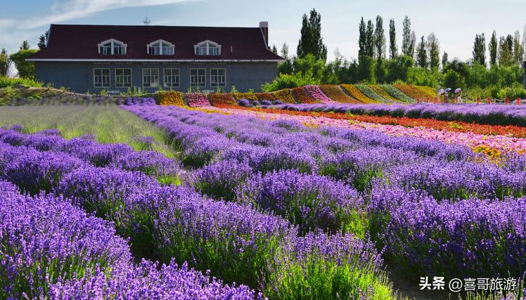 沈阳沈北新区旅游攻略,沈阳旅游沈北新区攻略最新