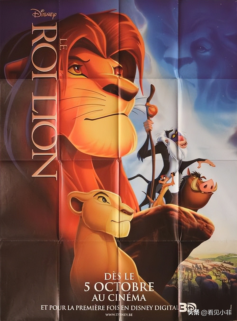 狮子和老虎到底谁厉害有图有真相,狮子和老虎到底谁厉害呢