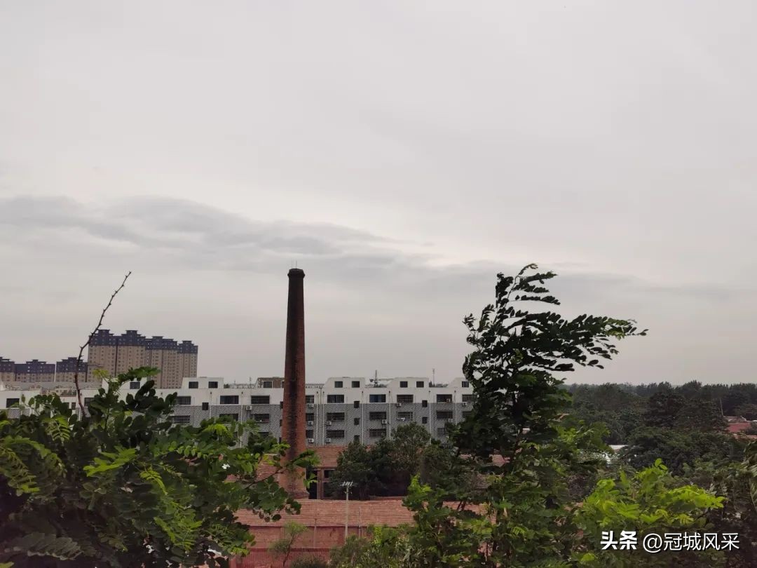 临清龙山公园最新进展,游临清公园