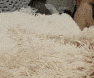 屏幕上出现五条白线什么意思,当屏幕出现五条虚线的时候