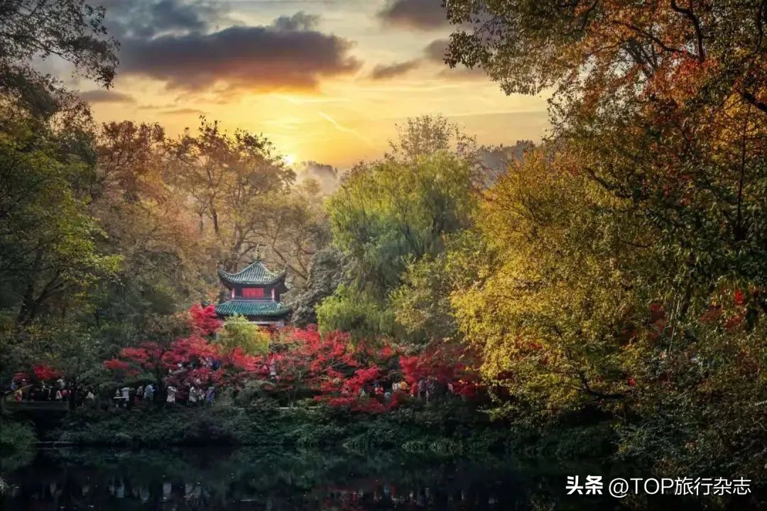 岳麓山赏红叶攻略,岳麓区徒步爬山推荐