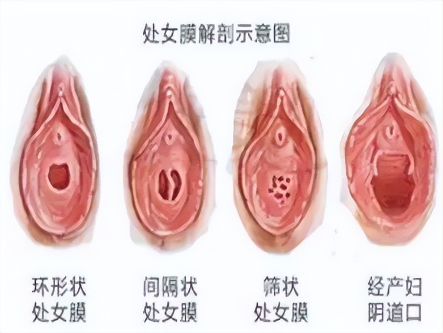 处女座被误会是什么表现,处女座被人误解的表现